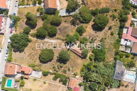 Helårsgrund i Quinta do Anjo, Setubal, Quinta do Anjo - € 400.000 | Ref: W-049XXL - foto 7