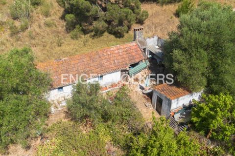 Helårsgrund i Quinta do Anjo, Setubal, Quinta do Anjo - € 400.000 | Ref: W-049XXL - foto 21