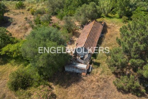 Helårsgrund i Quinta do Anjo, Setubal, Quinta do Anjo - € 400.000 | Ref: W-049XXL - foto 23