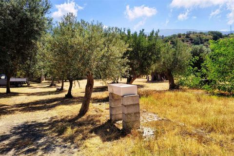 Haus in Fuscaldo, Cosenza, Fuscaldo - € 450.000 | Ref: 1614 - Foto 2