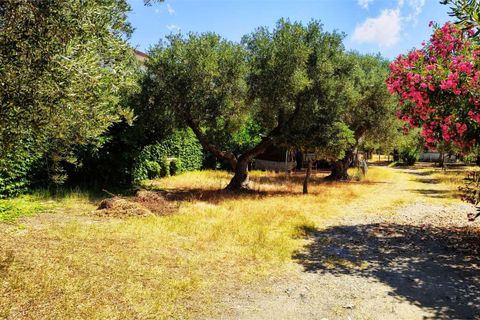 Haus in Fuscaldo, Cosenza, Fuscaldo - € 450.000 | Ref: 1614 - Foto 6
