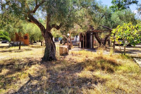 Haus in Fuscaldo, Cosenza, Fuscaldo - € 450.000 | Ref: 1614 - Foto 12