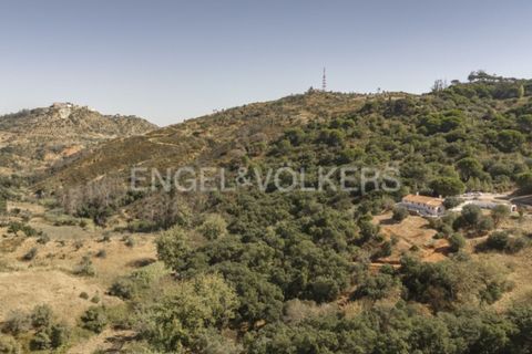 Villa i Palmela, Setubal, Palmela - € 1.770.000 | Ref: W-046NOG - foto 35