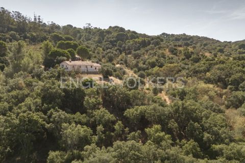Villa i Palmela, Setubal, Palmela - € 1.770.000 | Ref: W-046NOG - foto 44