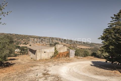 Villa i Palmela, Setubal, Palmela - € 1.770.000 | Ref: W-046NOG - foto 47