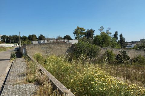 Terra a Casarano, Lecce, Casarano - € 72.000 | Ref: CS-98 - foto 9