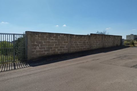Terra a Casarano, Lecce, Casarano - € 72.000 | Ref: CS-98 - foto 12