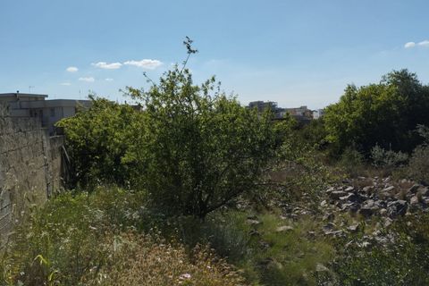 Terra a Casarano, Lecce, Casarano - € 72.000 | Ref: CS-98 - foto 15