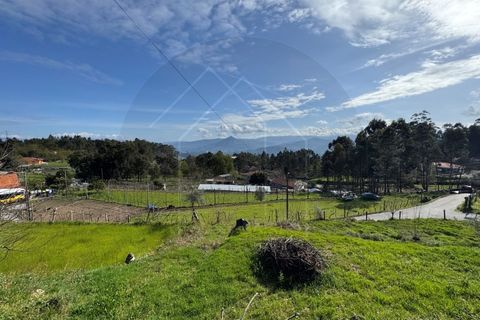Helårsgrund i Celorico de Basto, Braga, Celorico de Basto - € 59.000 | Ref: TER_84 - foto 2