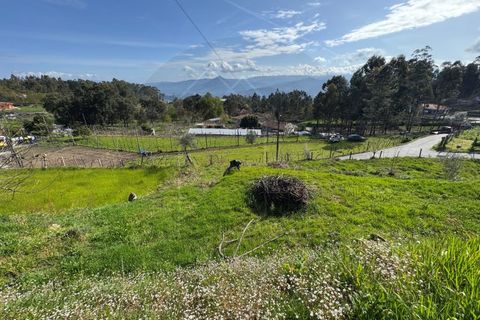 Helårsgrund i Celorico de Basto, Braga, Celorico de Basto - € 59.000 | Ref: TER_84 - foto 3