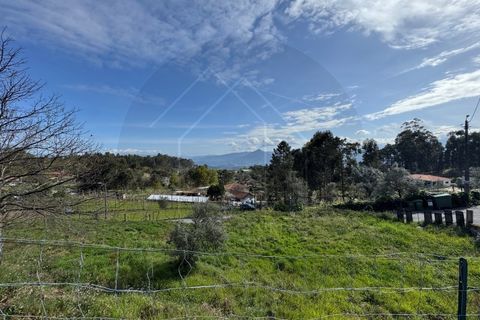 Helårsgrund i Celorico de Basto, Braga, Celorico de Basto - € 59.000 | Ref: TER_84 - foto 5