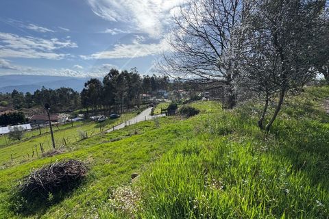 Helårsgrund i Celorico de Basto, Braga, Celorico de Basto - € 59.000 | Ref: TER_84 - foto 6