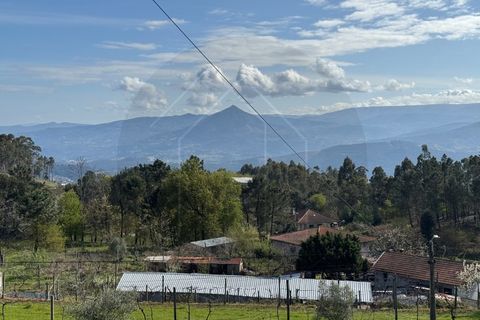 Helårsgrund i Celorico de Basto, Braga, Celorico de Basto - € 59.000 | Ref: TER_84 - foto 8