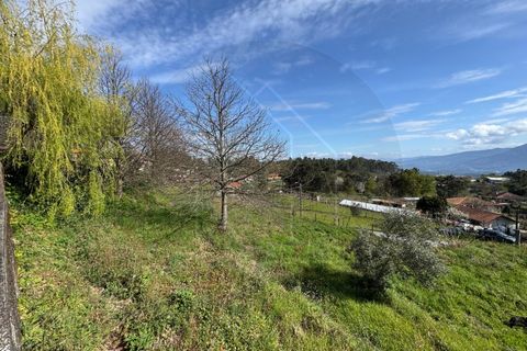 Helårsgrund i Celorico de Basto, Braga, Celorico de Basto - € 59.000 | Ref: TER_84 - foto 11