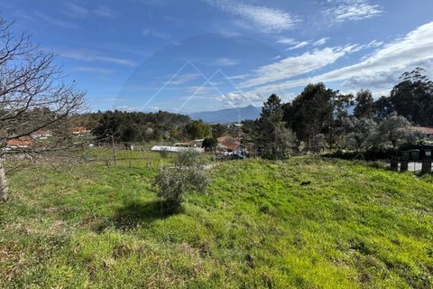 Helårsgrund i Celorico de Basto, Braga, Celorico de Basto - € 59.000 | Ref: TER_84 - foto 12