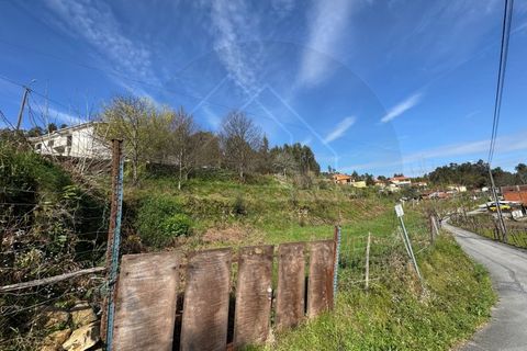 Helårsgrund i Celorico de Basto, Braga, Celorico de Basto - € 59.000 | Ref: TER_84 - foto 13