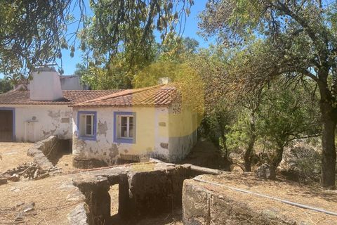 Gårdshus i Arraiolos, Evora, Arraiolos - € 809 500 | Ref: PB2024440 - foto 3