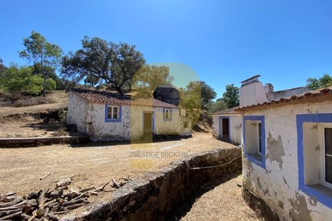 Gårdshus i Arraiolos, Evora, Arraiolos - € 809 500 | Ref: PB2024440 - foto 4