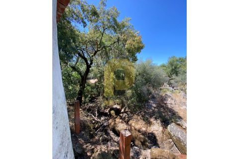 Gårdshus i Arraiolos, Evora, Arraiolos - € 809 500 | Ref: PB2024440 - foto 6
