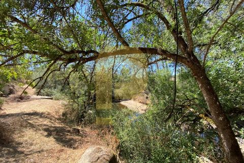 Gårdshus i Arraiolos, Evora, Arraiolos - € 809 500 | Ref: PB2024440 - foto 10