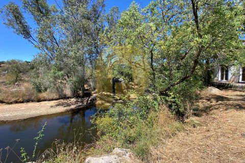 Gårdshus i Arraiolos, Evora, Arraiolos - € 809 500 | Ref: PB2024440 - foto 12