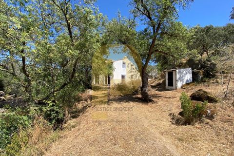 Gårdshus i Arraiolos, Evora, Arraiolos - € 809 500 | Ref: PB2024440 - foto 15