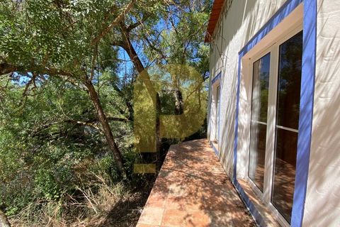 Gårdshus i Arraiolos, Evora, Arraiolos - € 809 500 | Ref: PB2024440 - foto 17