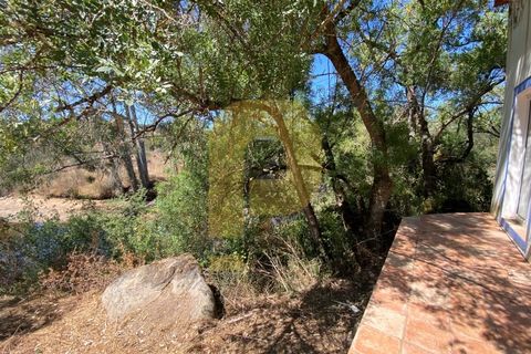 Gårdshus i Arraiolos, Evora, Arraiolos - € 809 500 | Ref: PB2024440 - foto 18