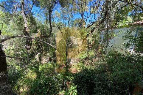 Gårdshus i Arraiolos, Evora, Arraiolos - € 809 500 | Ref: PB2024440 - foto 19