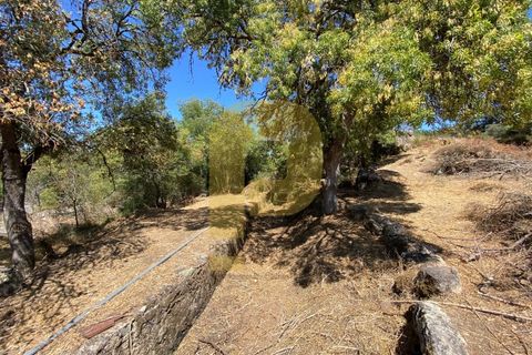 Gårdshus i Arraiolos, Evora, Arraiolos - € 809 500 | Ref: PB2024440 - foto 20
