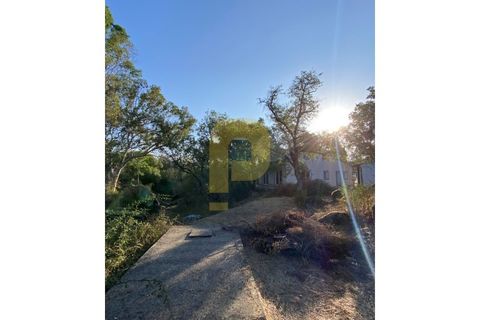 Gårdshus i Arraiolos, Evora, Arraiolos - € 809 500 | Ref: PB2024440 - foto 24