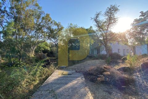 Gårdshus i Arraiolos, Evora, Arraiolos - € 809 500 | Ref: PB2024440 - foto 25