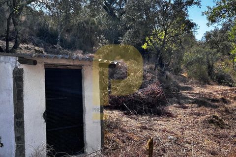 Gårdshus i Arraiolos, Evora, Arraiolos - € 809 500 | Ref: PB2024440 - foto 32