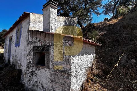 Gårdshus i Arraiolos, Evora, Arraiolos - € 809 500 | Ref: PB2024440 - foto 33