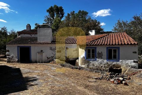 Gårdshus i Arraiolos, Evora, Arraiolos - € 809 500 | Ref: PB2024440 - foto 37