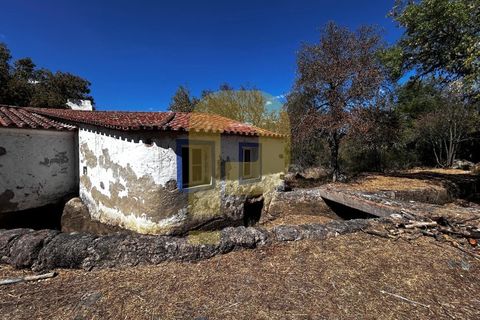Gårdshus i Arraiolos, Evora, Arraiolos - € 809 500 | Ref: PB2024440 - foto 38