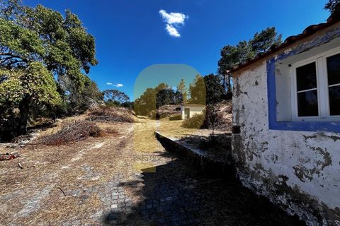 Gårdshus i Arraiolos, Evora, Arraiolos - € 809 500 | Ref: PB2024440 - foto 39