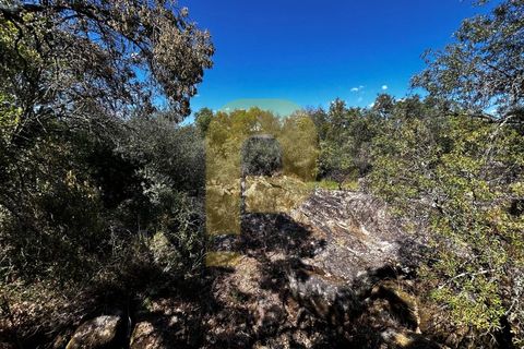 Gårdshus i Arraiolos, Evora, Arraiolos - € 809 500 | Ref: PB2024440 - foto 45
