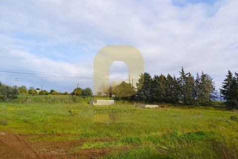 Helårsgrund i Elvas, Portalegre, Elvas - € 89.000 | Ref: PB2025252 - foto 6