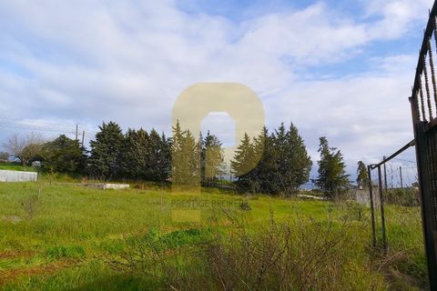 Helårsgrund i Elvas, Portalegre, Elvas - € 89.000 | Ref: PB2025252 - foto 12