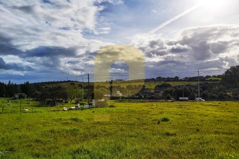 Helårsgrund i Elvas, Portalegre, Elvas - € 89.000 | Ref: PB2025252 - foto 15