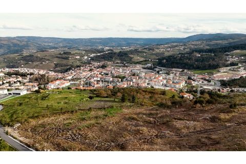 Helårsgrund i Lamego, Viseu, Lamego - € 945.000 | Ref: W-030U8R - foto 8