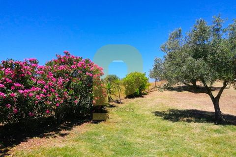 Farm i Portel, Evora, Portel - € 785.000 | Ref: PB2025450 - foto 14