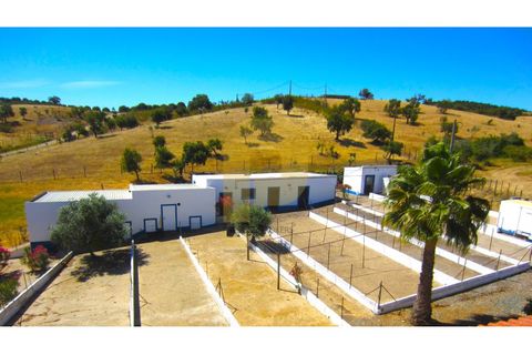 Farm i Portel, Evora, Portel - € 785.000 | Ref: PB2025450 - foto 15