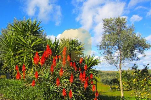 Farm i Portel, Evora, Portel - € 785.000 | Ref: PB2025450 - foto 18