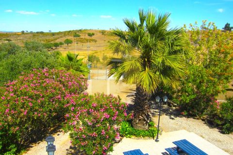Farm i Portel, Evora, Portel - € 785.000 | Ref: PB2025450 - foto 23