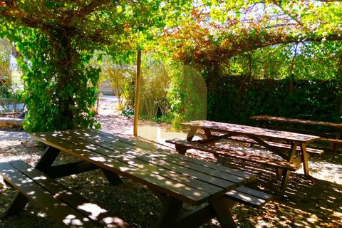Farm i Portel, Evora, Portel - € 785.000 | Ref: PB2025450 - foto 29
