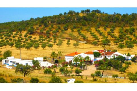 Farm i Portel, Evora, Portel - € 785.000 | Ref: PB2025450 - foto 30
