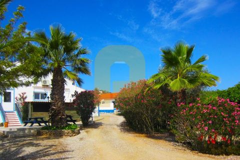 Farm i Portel, Evora, Portel - € 785.000 | Ref: PB2025450 - foto 31