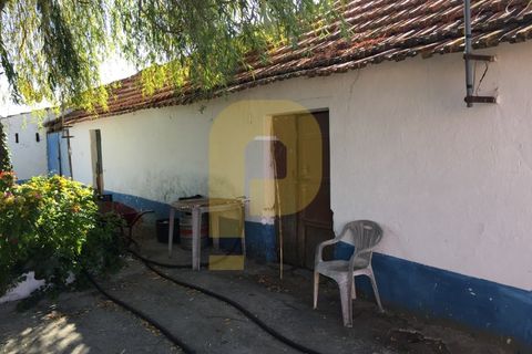 Farm i Palmela, Setubal, Palmela - € 790.000 | Ref: PB201901 - foto 15